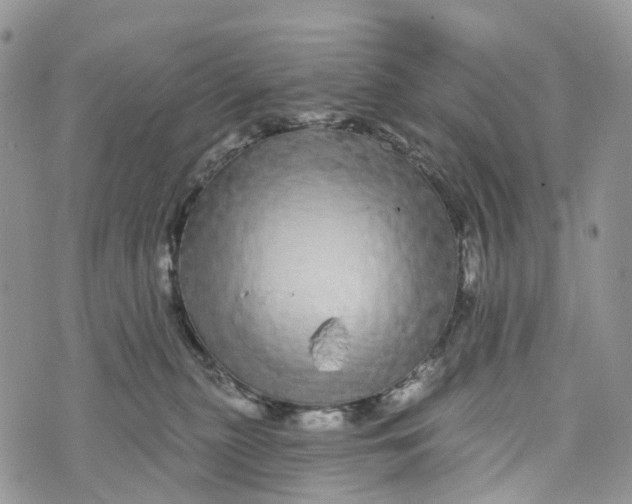 X0000072940279200608111608