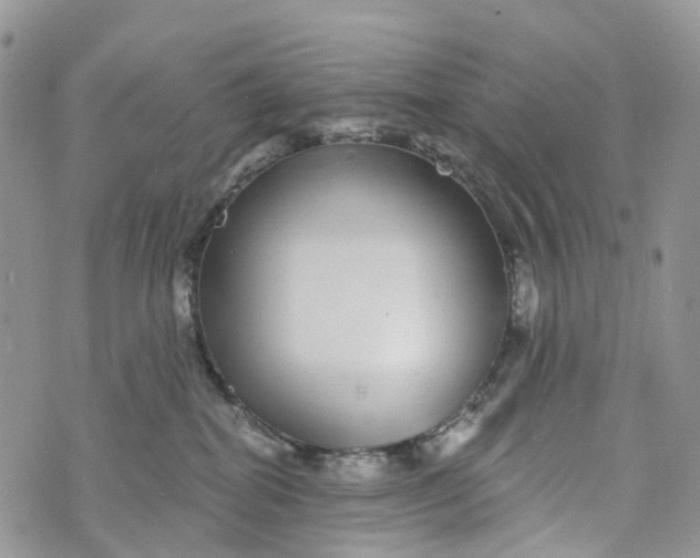 X0000072940282200608111608