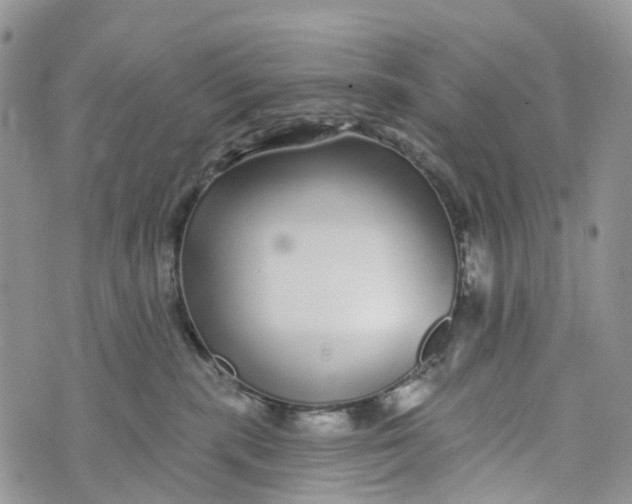 X0000072940283200608111608