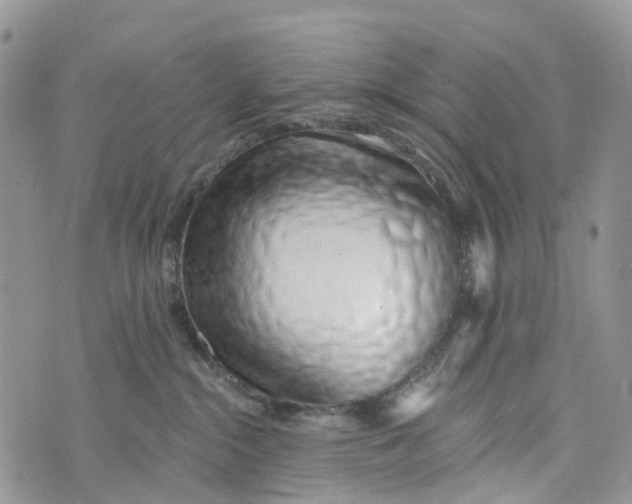 X0000072940284200608111608