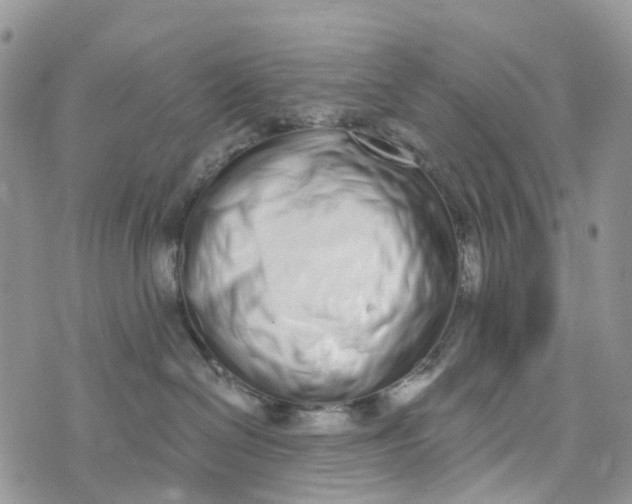 X0000072940286200608111608