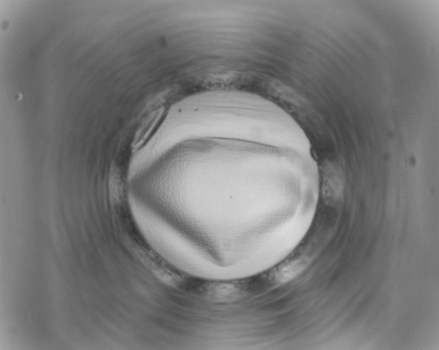 X0000072940287200608111608