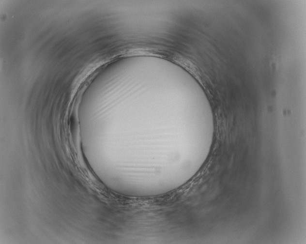 X0000072940289200608111607