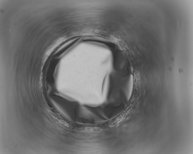 X0000072940292200608111607