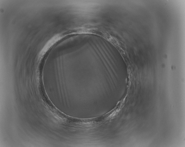 X0000072940295200608111607