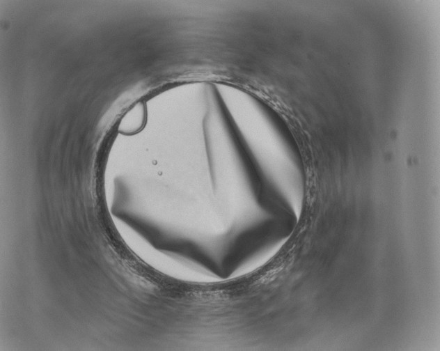 X0000072940296200608111607