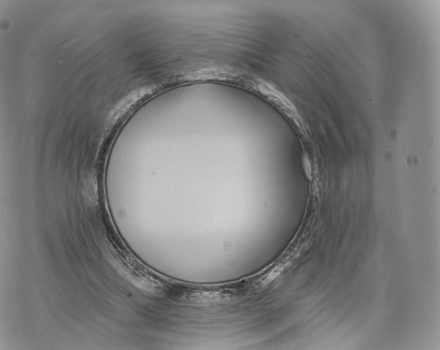 X0000072940298200608111607