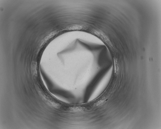 X0000072940300200608111607