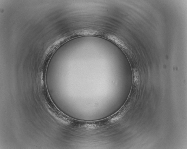 X0000072940302200608111607