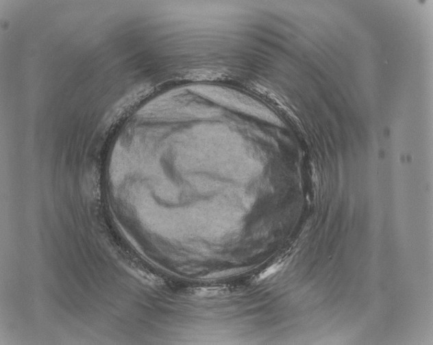 X0000072940303200608111607