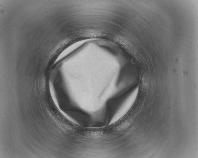 X0000072940304200608111607