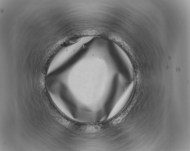 X0000072940305200608111607