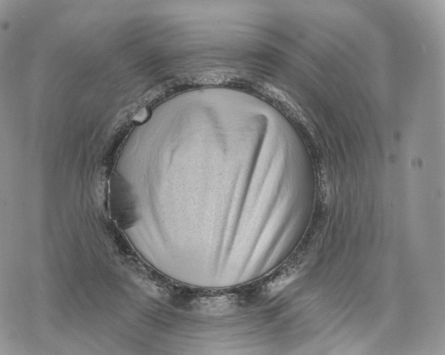 X0000072940307200608111607