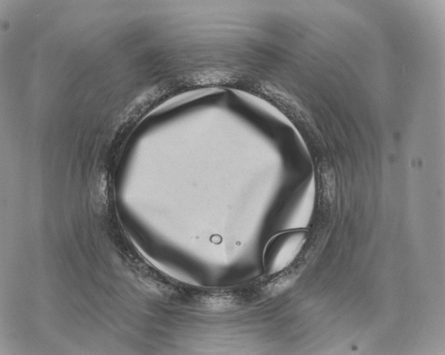 X0000072940308200608111607