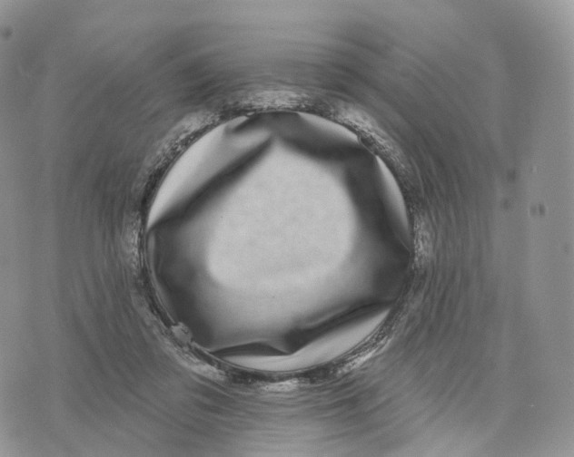 X0000072940309200608111607