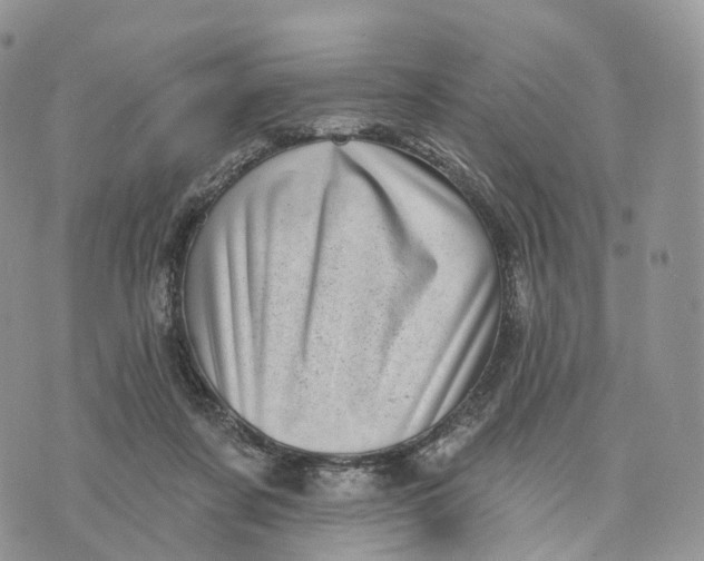 X0000072940311200608111607