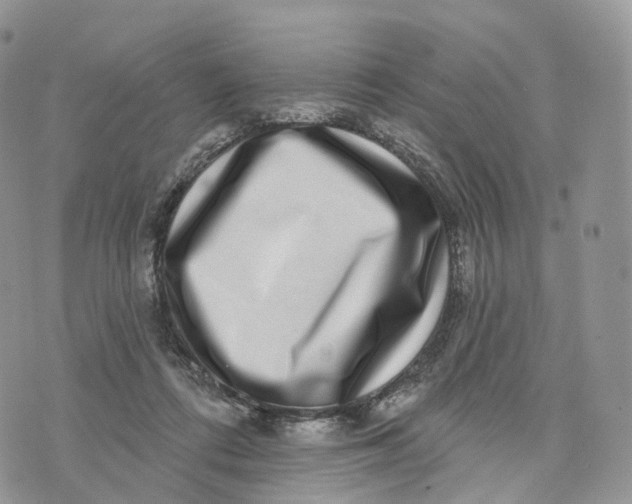 X0000072940312200608111607