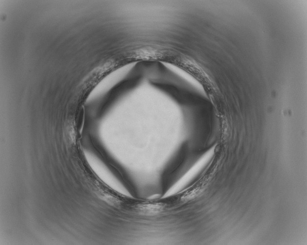 X0000072940313200608111607