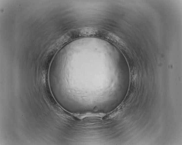 X0000072940315200608111607