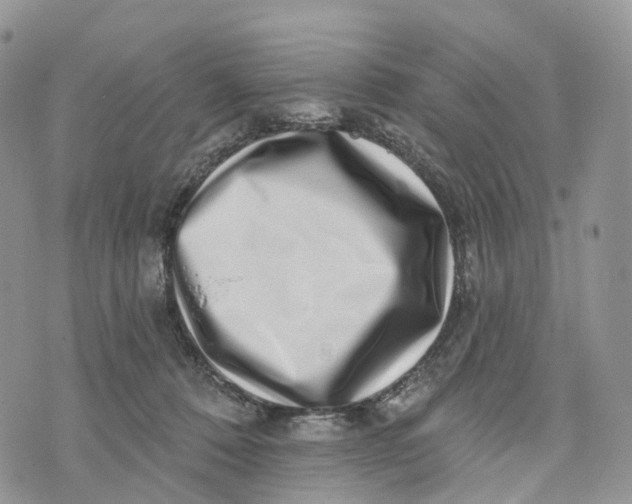 X0000072940320200608111607