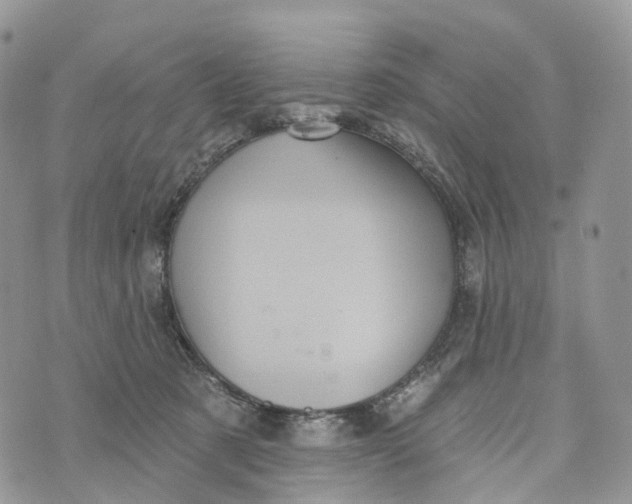 X0000072940321200608111607