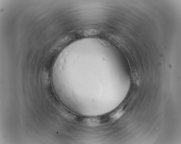 X0000072940327200608111607