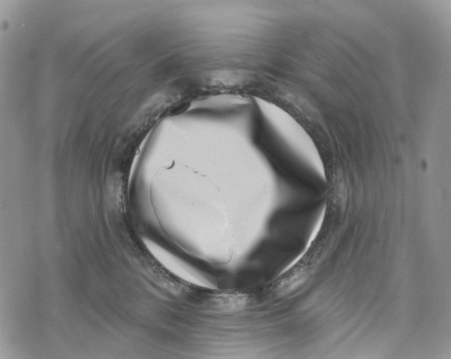 X0000072940328200608111607