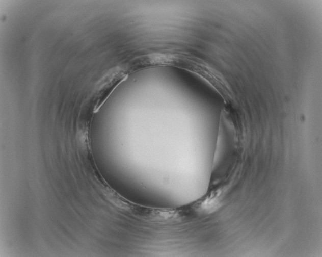 X0000072940329200608111607