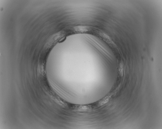 X0000072940330200608111607