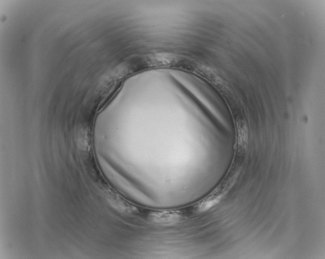 X0000072940331200608111607