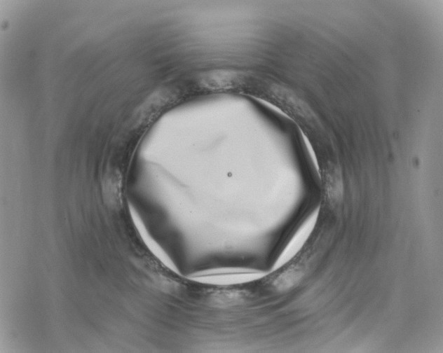 X0000072940332200608111607