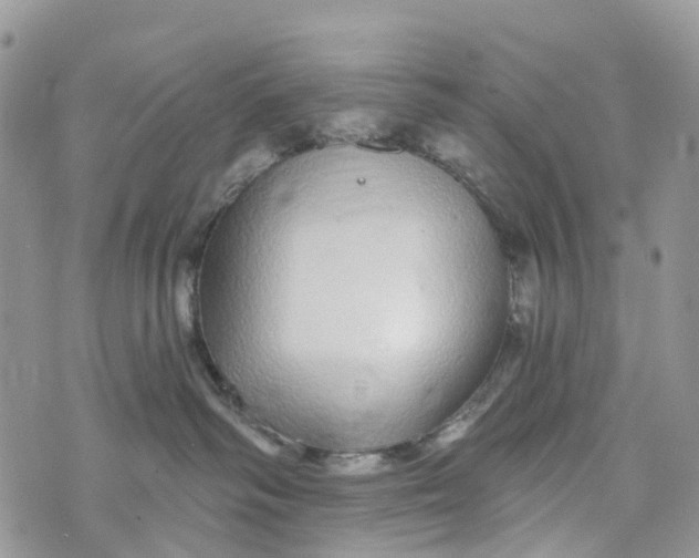 X0000072940334200608111607