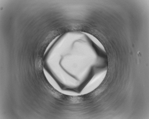 X0000072940336200608111607