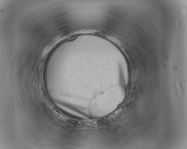 X0000072940337200608111606