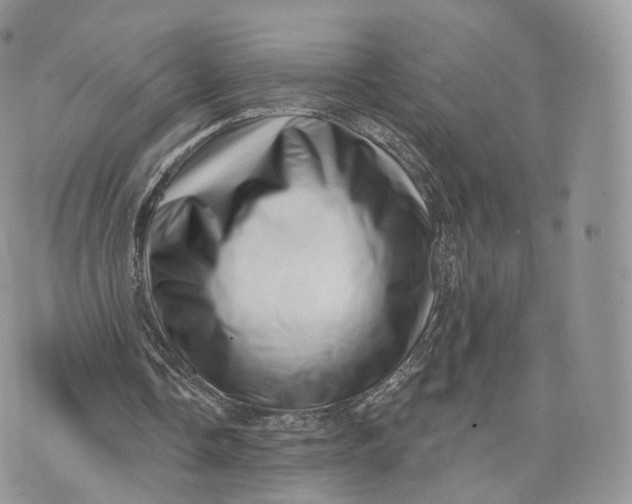 X0000072940338200608111606