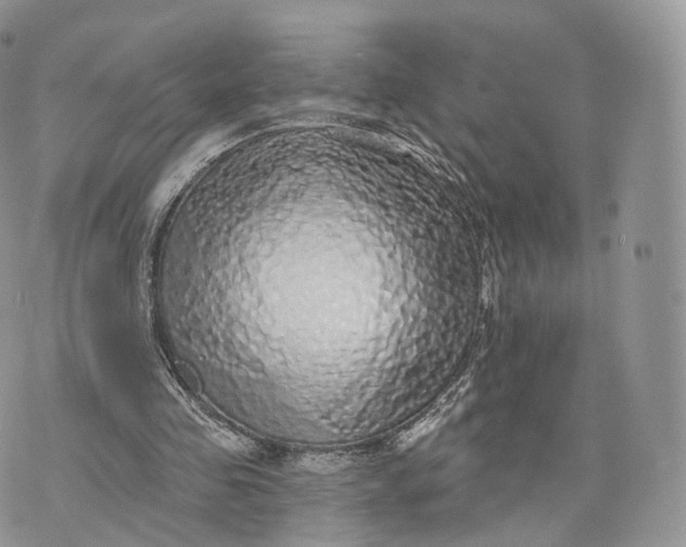 X0000072940341200608111606