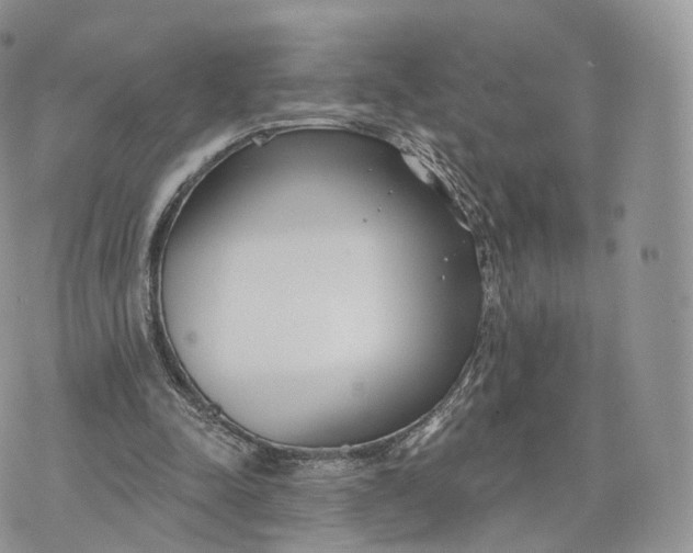 X0000072940342200608111606