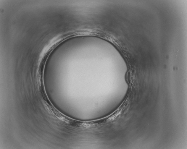 X0000072940343200608111606