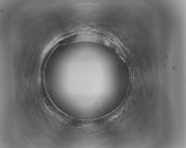 X0000072940344200608111606