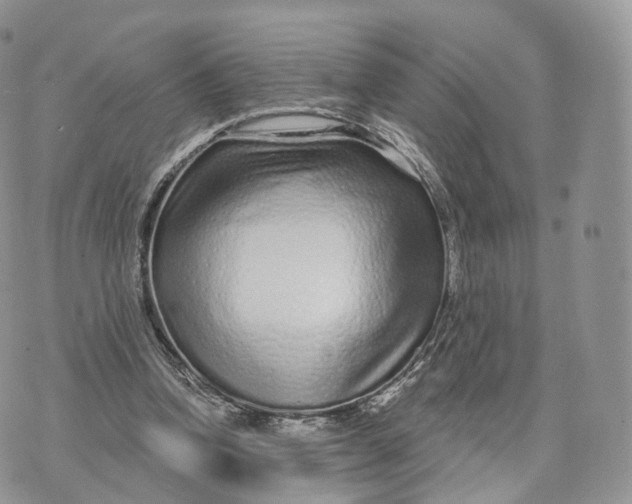 X0000072940346200608111606