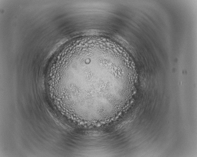 X0000072940347200608111606