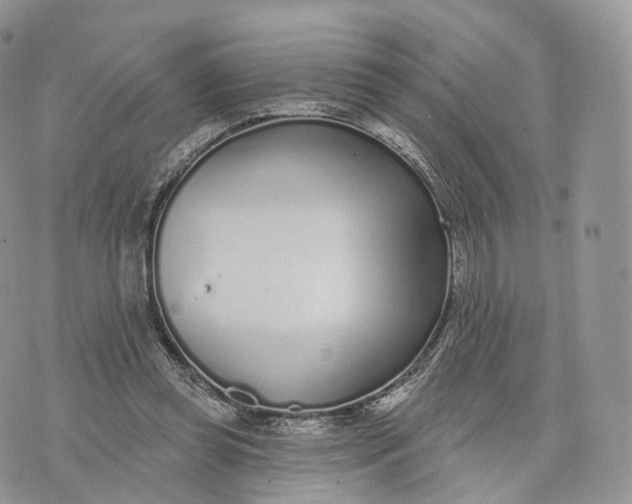 X0000072940349200608111606