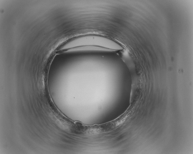 X0000072940350200608111606