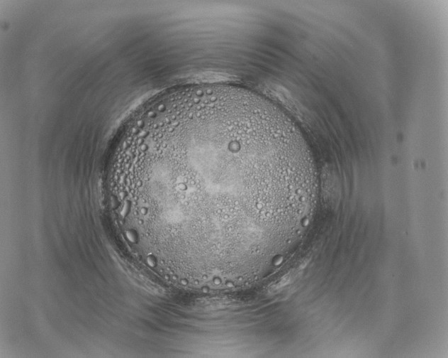 X0000072940351200608111606