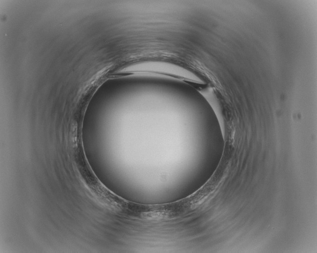 X0000072940356200608111606