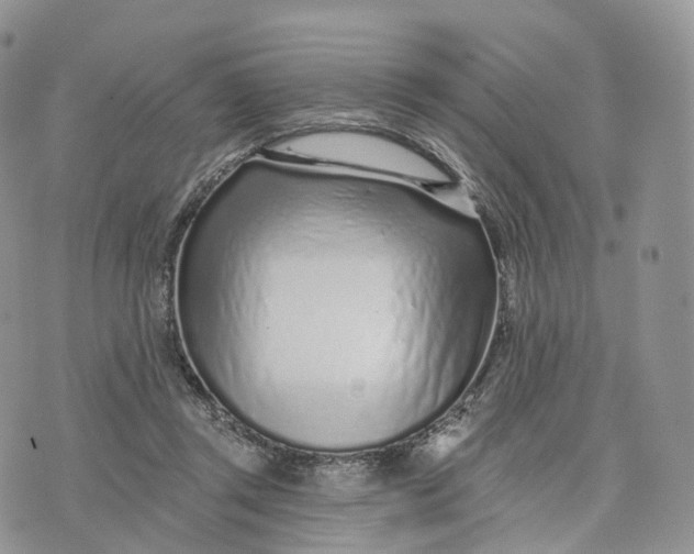 X0000072940357200608111606