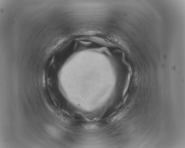 X0000072940358200608111606