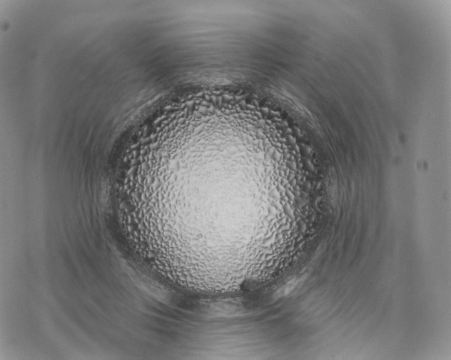 X0000072940359200608111606