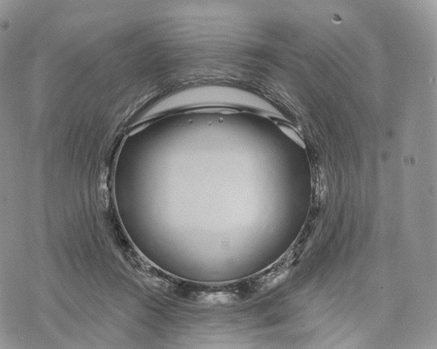 X0000072940360200608111606