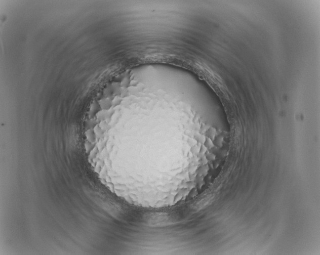 X0000072940361200608111606